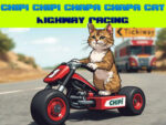 Chipi Chipi Chapa Chapa Cat Racing Highway
